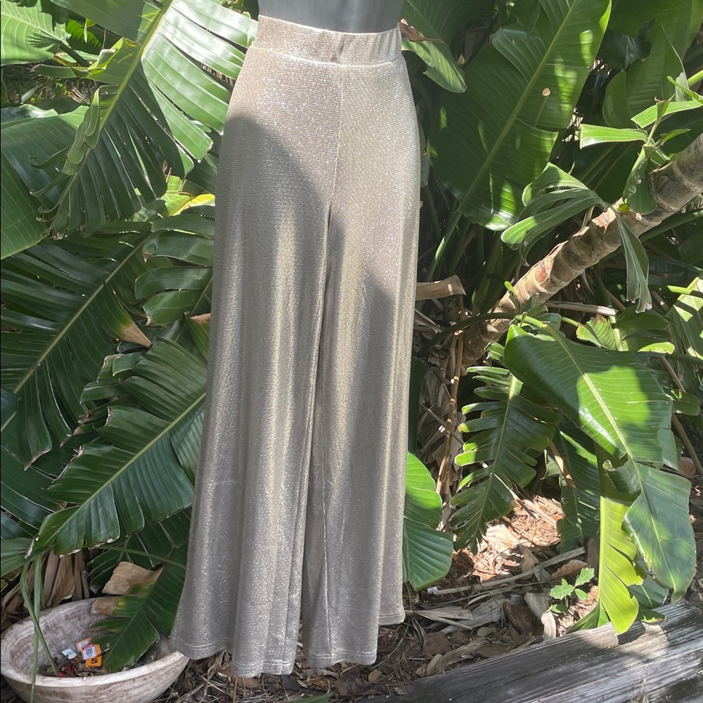 Boston proper silver lame wide leg pants